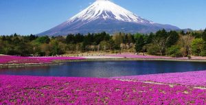 fuji-mountain