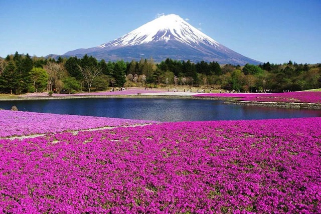 جاذبه های گردشگری و دیدنی ژاپن